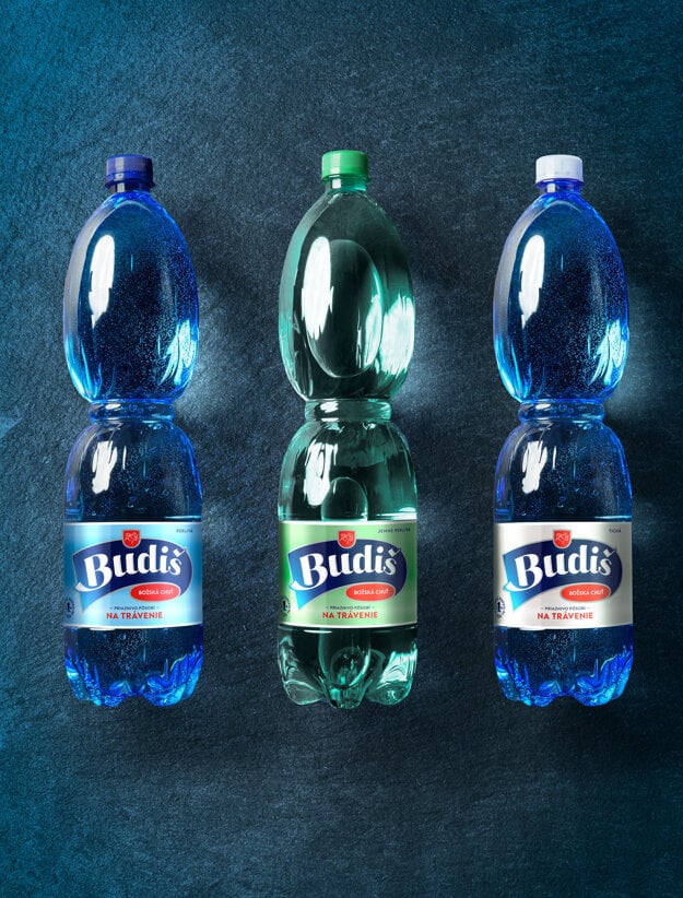  (zdroj: Budiš)