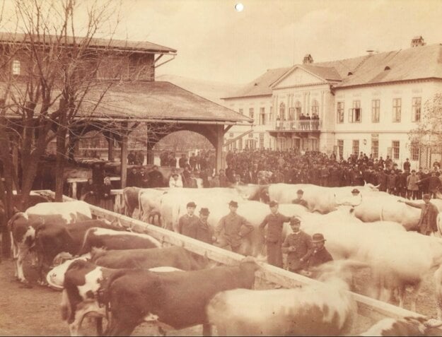 “Dobytčák” na Trnavskom mýte v roku 1885, vpravo Berchtoldov palác. 