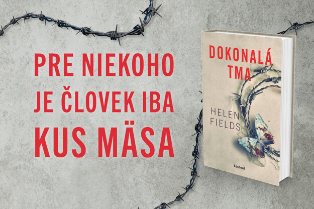 Helen Fields, Dokonalá tma (zdroj: ALBATROS MEDIA)