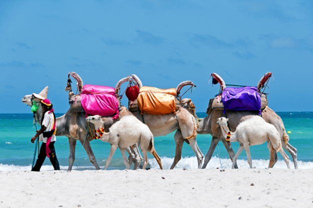 Prechádzka na ťave na ostrove Djerba je pre deti veľkým zážitkom.  (zdroj: Shutterstock.com)