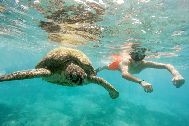 Šnorchlovanie v Marsa Alam.  (zdroj: Shutterstock.com)